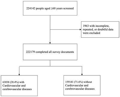 Analysis of the status of social frailty in Chinese older adults with cardiovascular and cerebrovascular diseases: a national cross-sectional study